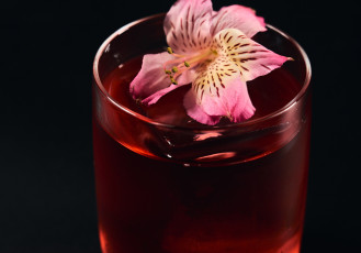 Sakura Gimlet 2